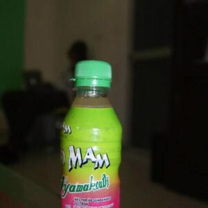 jus de gingembre 250 ml