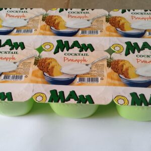 dèguè en pot (copie)